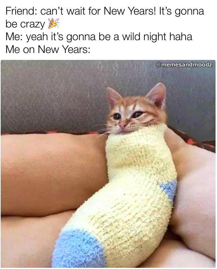 potret meme kucing tema tahun baru (reddit.com/user/Memesandmoodz)