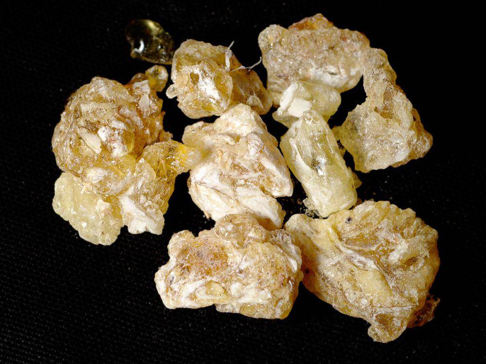 potret kemenyan Somalia (commons.wikimedia.org/snotch)