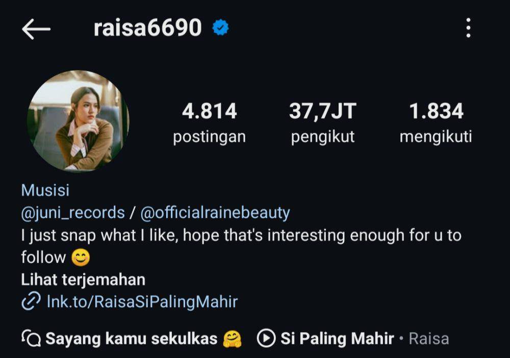 profil Instagram Raisa (instagram.com/raisa6690)
