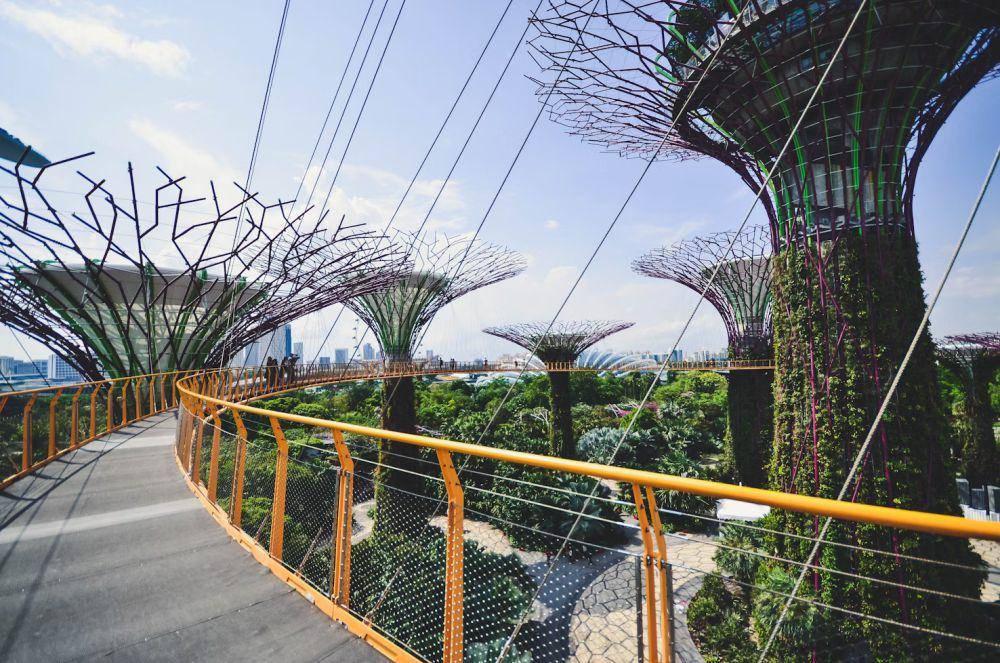 ilustrasi Gardens by The Bay (unsplash.com/Esaias Tan)