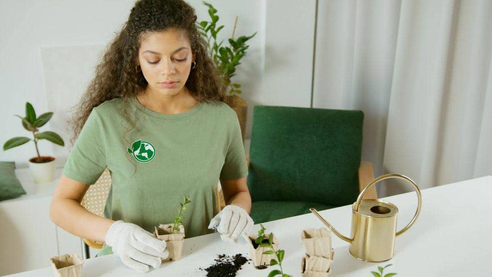 ilustrasi orang merawat tanaman (pexels.com/Artem Podrez)
