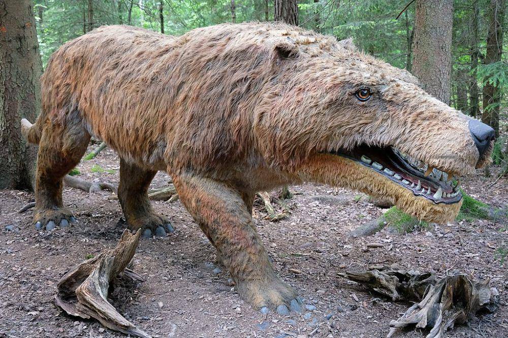 ilustrasi andrewsarchus (commons.wikimedia.org/Chrisi1964)