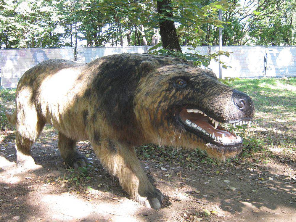 ilustrasi andrewsarchus (commons.wikimedia.org/Boris Dimitrov)