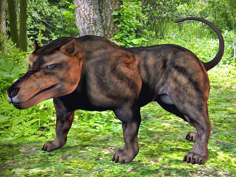 ilustrasi andrewsarchus (commons.wikimedia.org/Carioca)