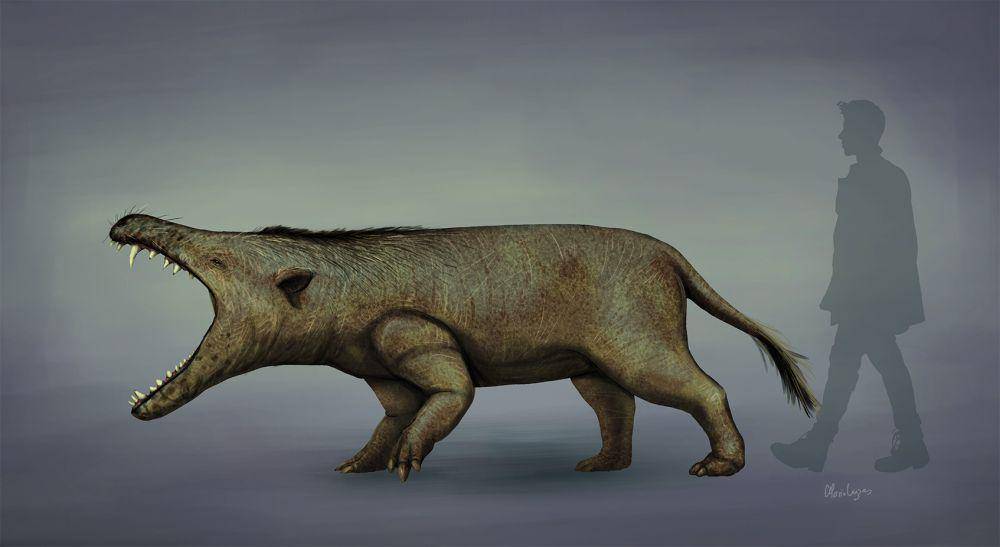 ilustrasi andrewsarchus (commons.wikimedia.org/Mario Lanzas)
