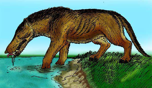 ilustrasi andrewsarchus (commons.wikimedia.org/Stanton F. Fink)