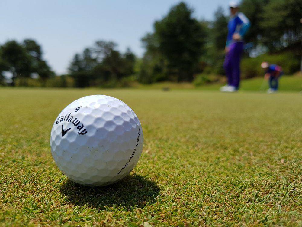 Foto bola golf. (pixabay.com/Ipegasu)