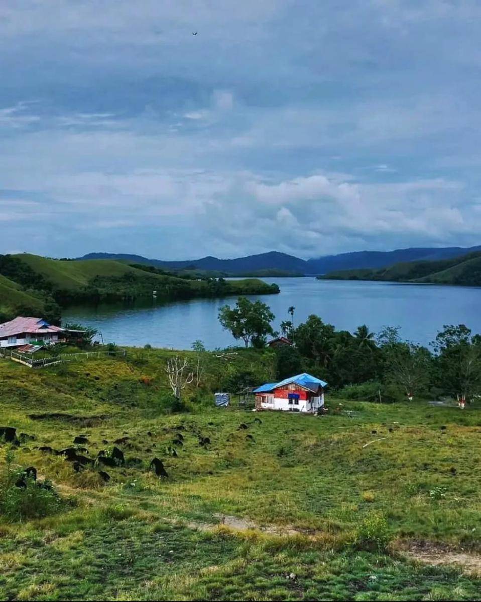 Pemandanngan dari Bukit Teletubbies Sentani, Jayapura (dok. pribadi/Dahayu Erinna)