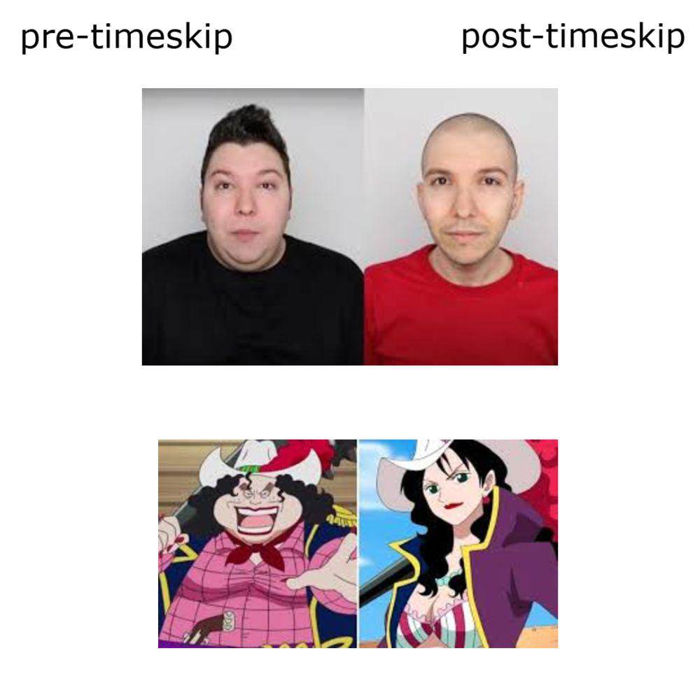 potret meme One Piece time skip (reddit.com/user/theconfused46)