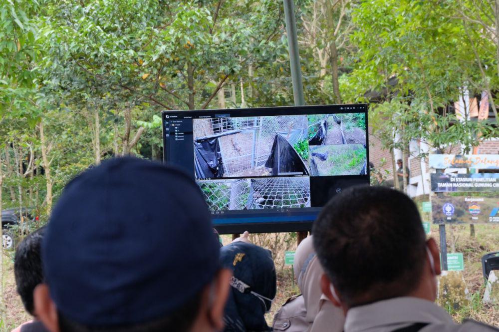 Berkenalan dengan Lima Raja Hutan Gunung Ciremai