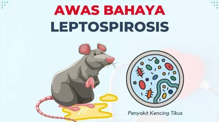 DKK Balikpapan Temukan Kasus Suspek Leptospirosis