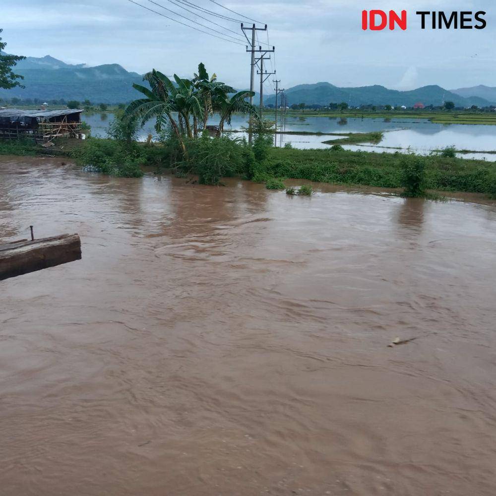 Foto lahan pertanian warga direndam banjir (Dok/BPBD Bima)