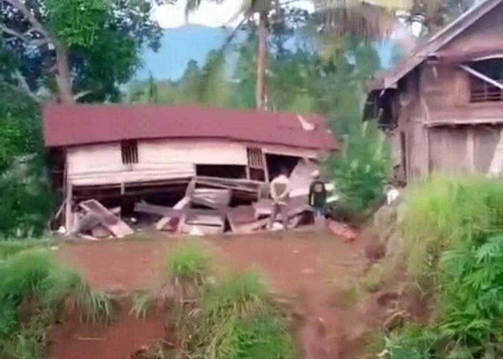 Penampakan lokasi kejadian pascaserangan kawanan gajah di Talang Badar Blok 4 Reg39 di Pekon Doh, Tanggamus. (IDN Times/Istimewa).