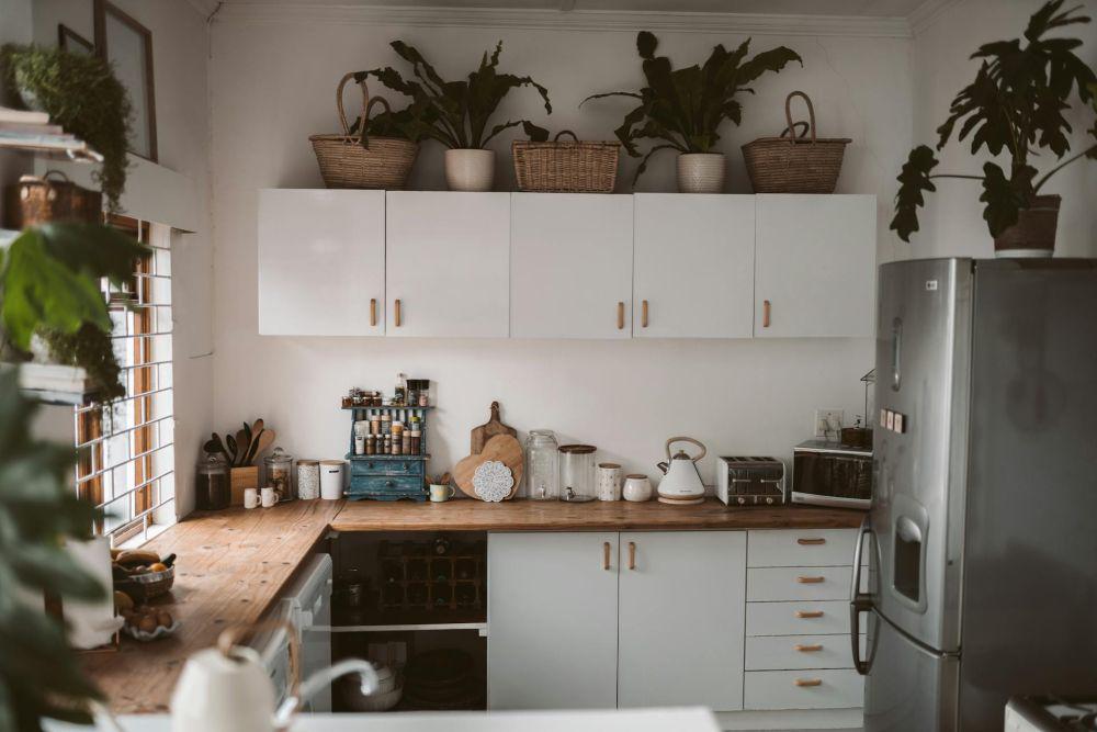 5 Cara Kreatif Menata Tanaman Hias di Dapur, Masak Jadi Makin Seru