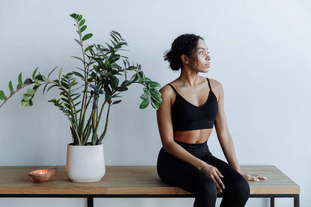 ilustrasi ZZ plant (pexels.com/Thirdman)