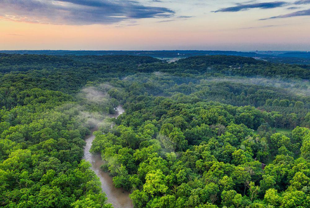 Apa yang Terjadi Jika Hutan Amazon Rusak Total?