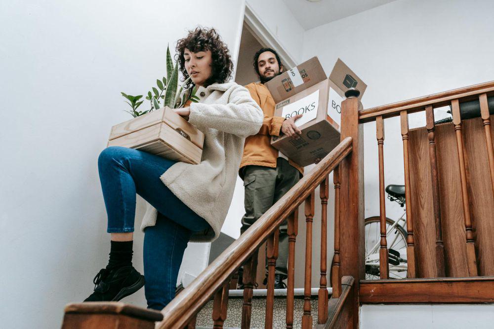 5 Tips Membawa Tanaman Saat Pindah Rumah, Tetap Sehat dan Subur!