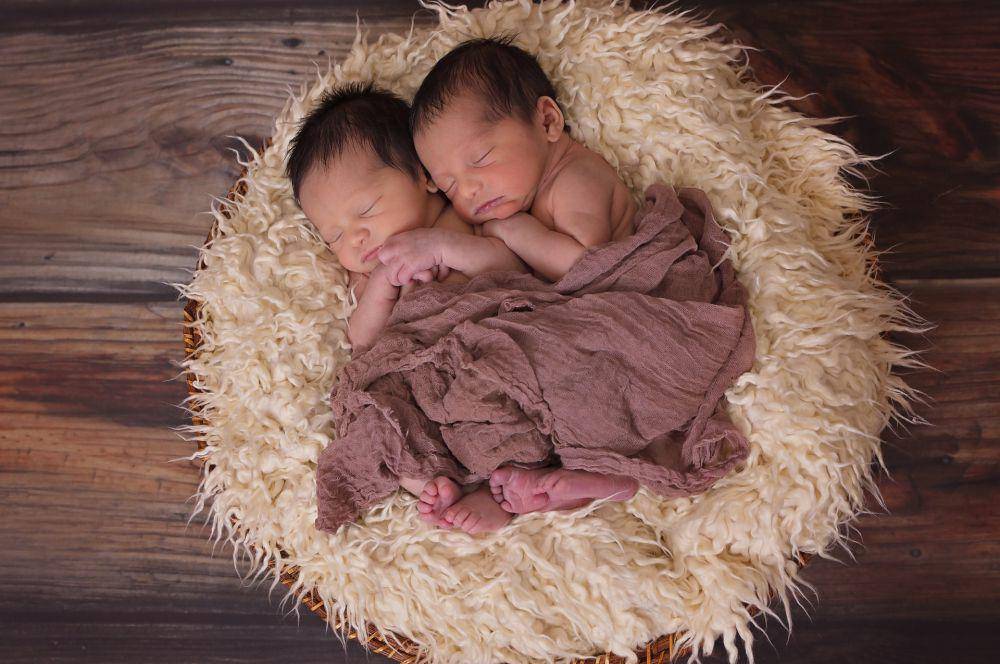 bayi kembar (pixabay.com/Pixabay)