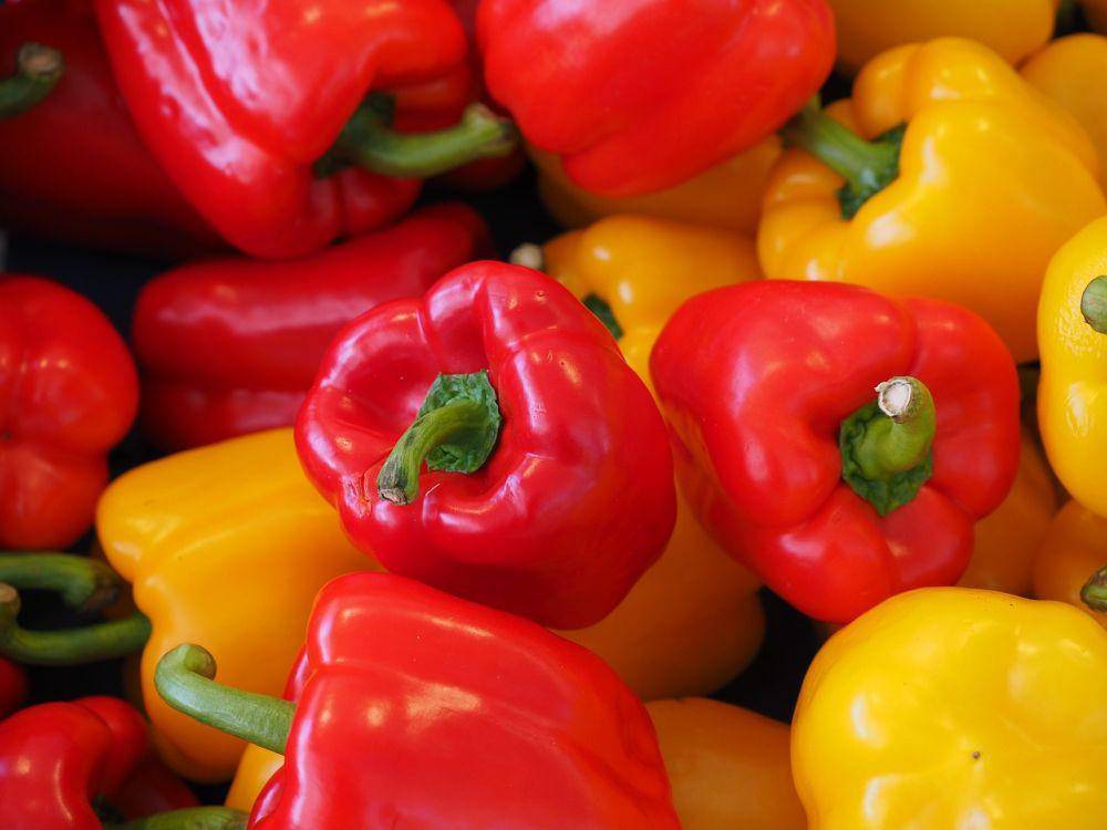Ilustrasi paprika (pixabay.com/Hans)