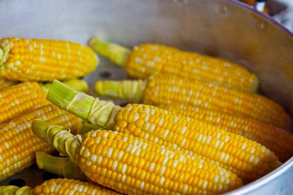 Ilustrasi bahan utama jagung bose (pixabay.com/keem1201)