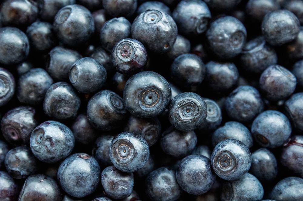 Ilustrasi buah blueberry (pixabay.com/Meadowphoto)
