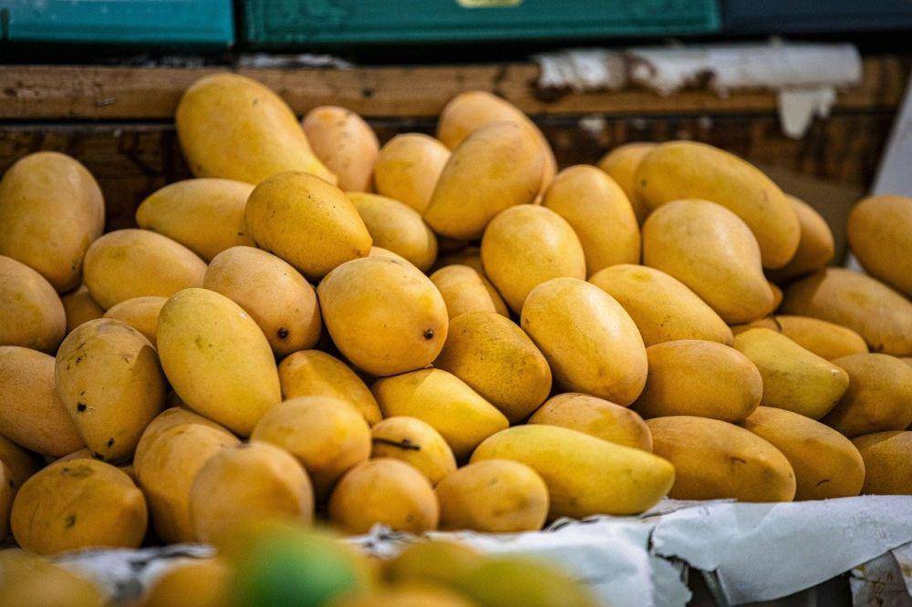 Ilustrasi mangga (pixabay.com/SwidaAlba)