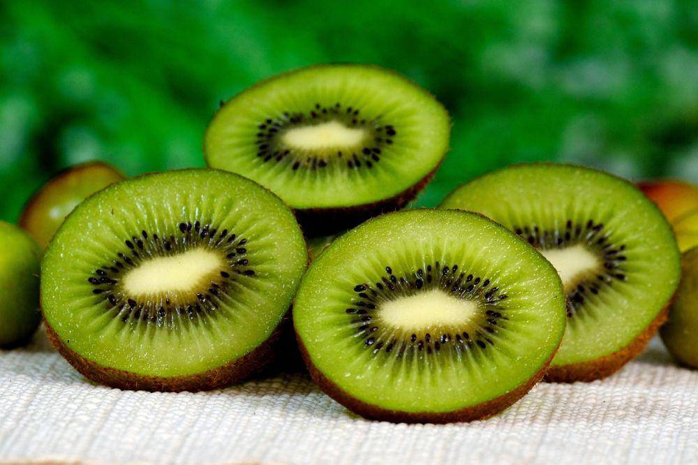 Ilustrasi kiwi (pixabay.com/ignartonosbg)