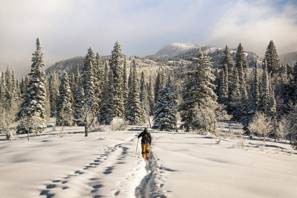 5 Rekomendasi Resor Ski Terbaik di Amerika Serikat yang Wajib Dicoba