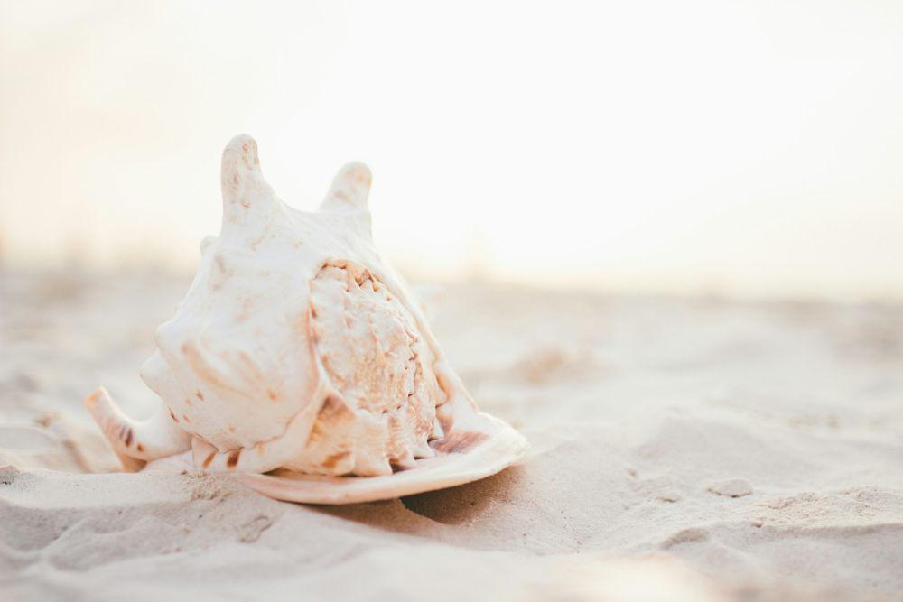 ilustrasi pantai (unsplash.com/Darya Jum)