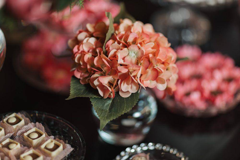 hydrangea (pexels.com/Matheus Bertelli)