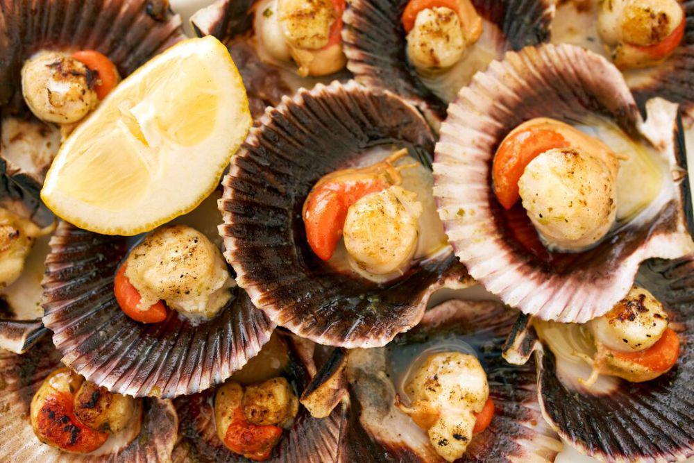 Resep Scallop Panggang Keju Parmesan, Gurihnya Maksimal