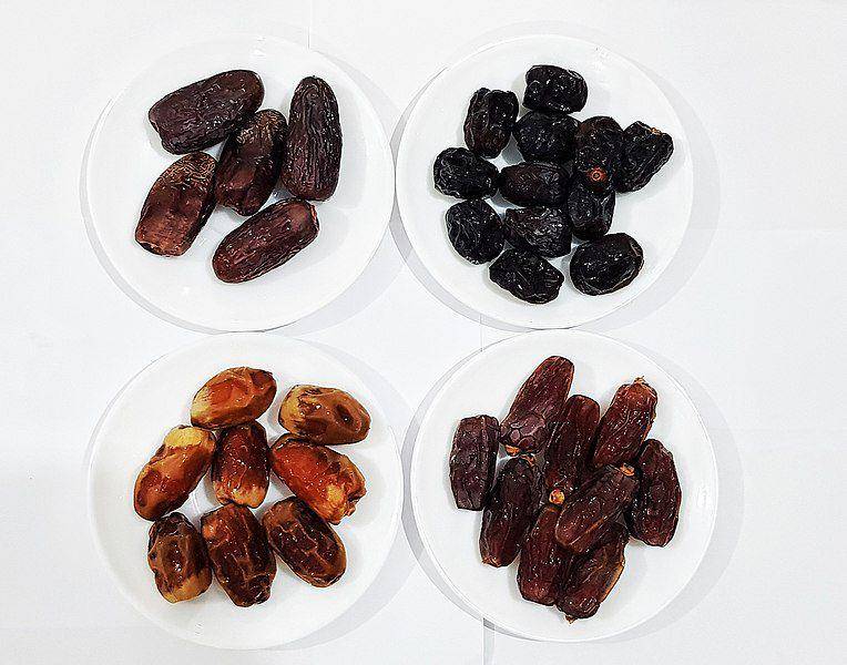 Ilustrasi buah kurma (commons.m.wikimedia.org/Miansari66)