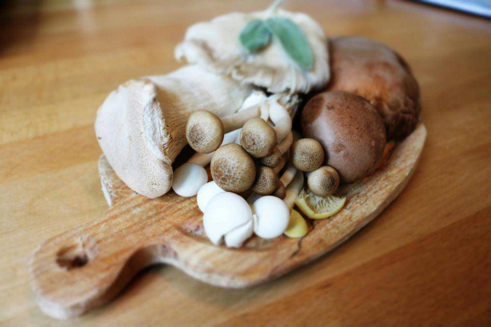 ilustrasi jamur shiitake (pexels.com/Paula)