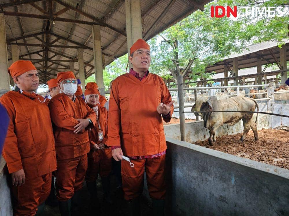 IDN Times/Maya Aulia Aprilianti