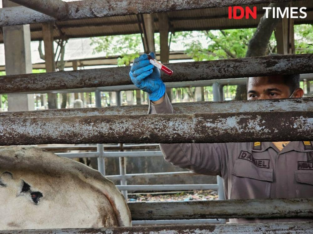 IDN Times/Maya Aulia Aprilianti