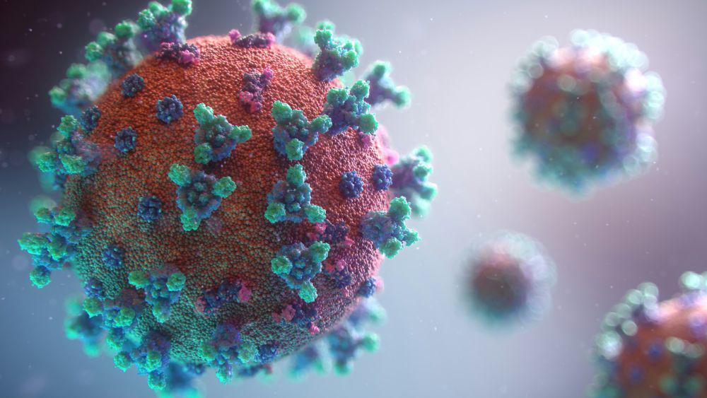 AS Umumkan Kasus Kematian Pertama Akibat Flu Burung di Louisiana