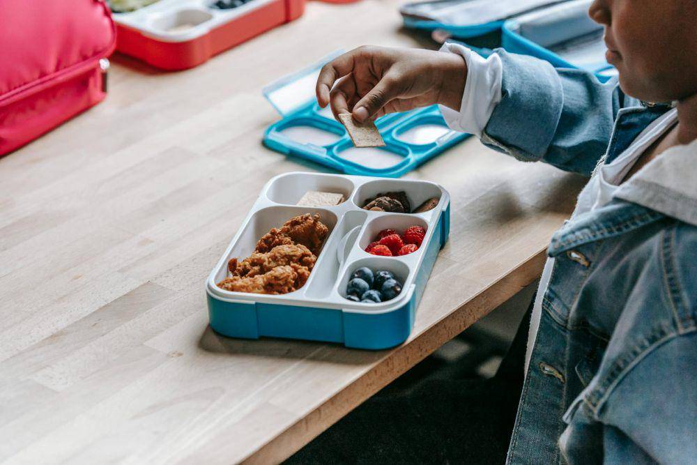 ilustrasi memakan bekal (pexels.com/Katerina Holmes)