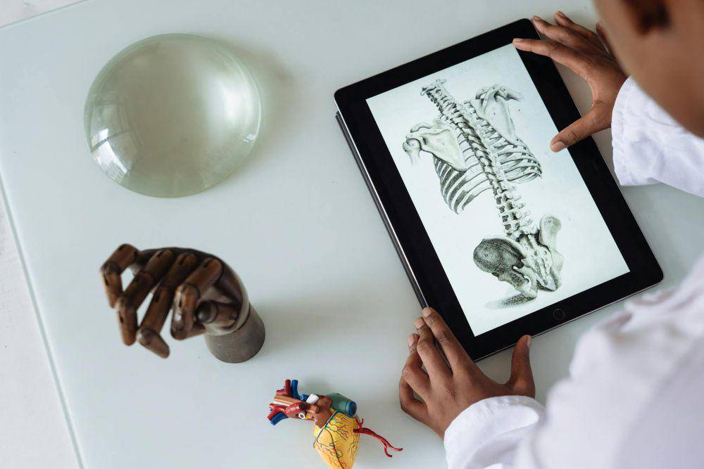 ilustrasi mahasiswa kedokteran sedang mengamati tulang manusia (pexels.com/RF._.studio)
