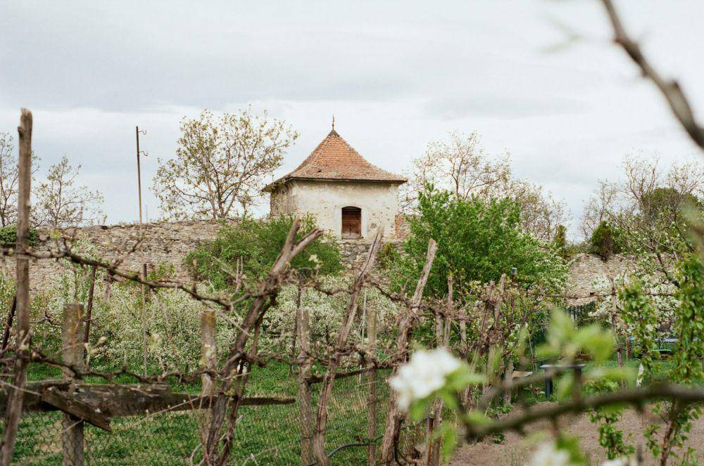 Sebeș (unsplash.com/Stefan Cosma)