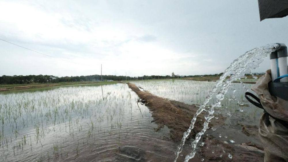 Listrik PLN Tekan Biaya Operasional Petani di Sulsel Hingga 75 Persen
