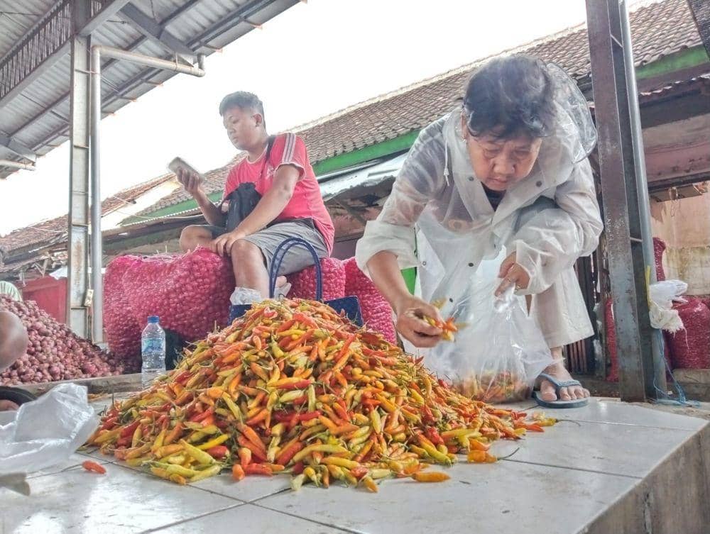 Konsumen membeli cabai di Pasar Grosir Ngemplak Tulungagung. IDN Times/ Bramanta Pamungkas