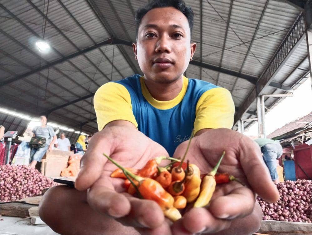 Penjual cabai di Pasar Grosir Ngemplak Tulungagung. IDN Times/ Bramanta Pamungkas