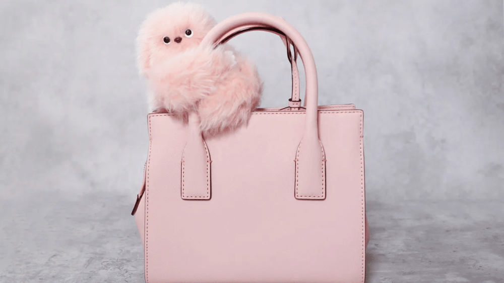 Robot Mirumi (croma.com/Khevna Pandit)