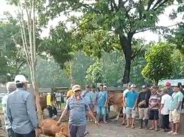 Dampak PMK, 3 Pasar Hewan di Jatim Ditutup