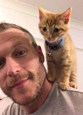 foto lucu kucing oren di pundak ayah (reddit.com/heidnseak)