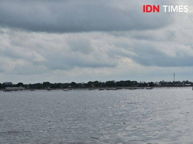 IDN Times/Maya Aulia Aprilianti