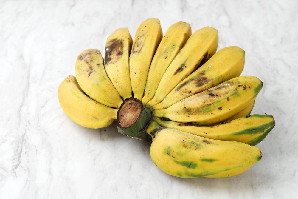 Ilustrasi pisang (vecteezy.com/ikarahma)