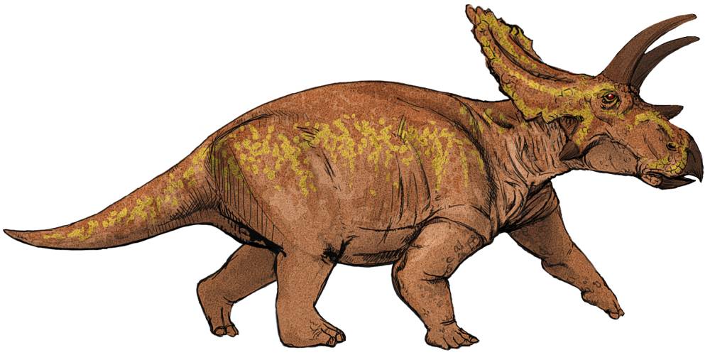 Manusia dan dinosaurus hidup di zaman yang berbeda (commons.wikimedia.org/Mariana Ruiz Villarreal)