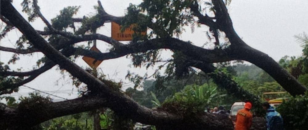 Banjir dan Pohon Tumbang Landa Lahat Usai Diguyur Hujan Lebat
