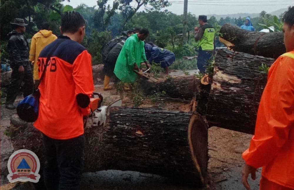 Banjir dan Pohon Tumbang Landa Lahat Usai Diguyur Hujan Lebat